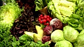 Verschiedene Salatsorten, Radieschen und Kräuter