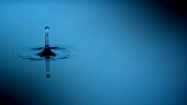 Ein Tropfen fällt ins Wasser (Close Up)