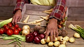 Taking fresh vegetables out of a wooden box