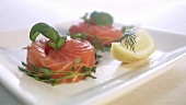 Gravlax with herbs (close-up)