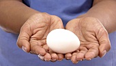 Hands holding a white egg (close-up)