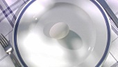 Ein weisses Ei auf einem Teller