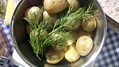 Neue Kartoffeln mit Dill (Mittsommerfest, Schweden)