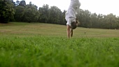 Woman doing cartwheels in park