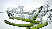 Five green asparagus spears falling into water
