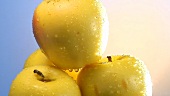 Rotating yellow apples