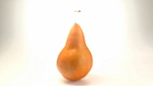 A rotating pear
