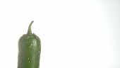 A green chilli