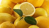Viele Zitronen