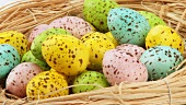 Coloured quails' eggs in Easter nest