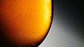 A glass of beer (detail)