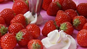 Frische Erdbeeren mit Sahnetupfen auf rosa Teller