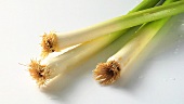 Three leeks with drops of water