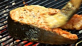 Brushing salmon steaks on a barbecue with marinade