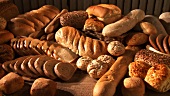 Various types of bread and bread rolls