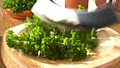 Chopping fresh parsley with a mezzaluna