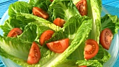Romana-Tomaten-Salat mit Dressing anmachen