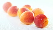 Frische Aprikosen mit Wasser besrpühen
