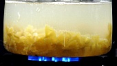 Farfalle in kochendem Wasser