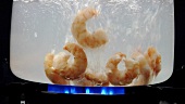 Peeled prawns in boiling water