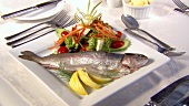 Salmon trout with salad garnish
