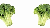 Two heads of broccoli