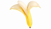 A half-peeled banana