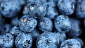 Blaubeeren mit Wassertropfen (Bildfüllend)