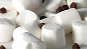 weiße Marshmallows und Chocolate Chips