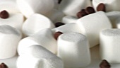 White marshmallows and chocolate chips