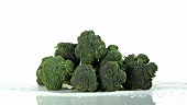 Broccoli florets laying down