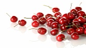 Cherries