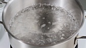 Pan of boiling water