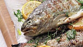 Grilled trout with lemon and herbs