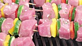 Meat and vegetable kebabs on a grill