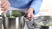 Blanched savoy cabbage being stirred into mashed potatoes