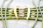 White and green beans unpeeled, elevated view