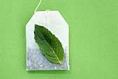 Tea bag and mint leaf
