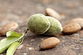 Fresh almonds, close-up