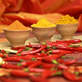 Curry powder, turmeric and chilli powder with red chillies