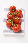 Tomaten an der Rispe