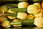 Courgettes with flowers