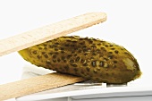 Pickled gherkin in wooden tongs