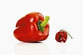 Red pepper and habanero chilli
