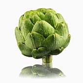 Artichoke with drops of water and reflection