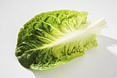 Lettuce leaf