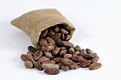 Cocoa beans in and in front of jute sack