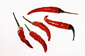 Several fresh red chillies