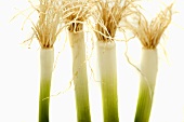 Four spring onions (detail)