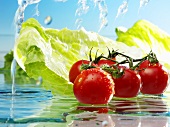 Tomatoes and romaine lettuce with water